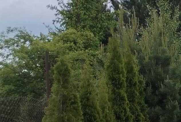 Фото Продается просторный коттедж — 25