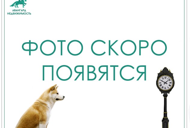 Фото Помещение 103 м² с отдельным входом (метро “Молодежная”) — 3