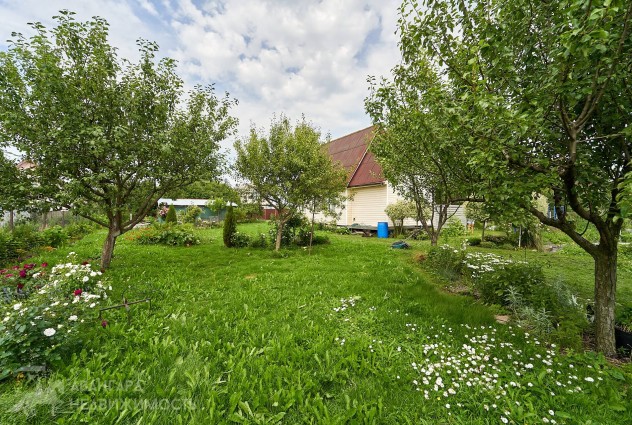 Фото Продается дача с большим участком — 25