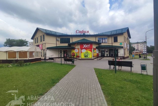 Фото 1-комнатная квартира в г. Дзержинск, ул. Пераможцев, 1А — 37