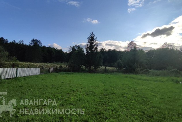 Фото Продается дача 28 км от МКАД. на берегу реки Птичь. — 9