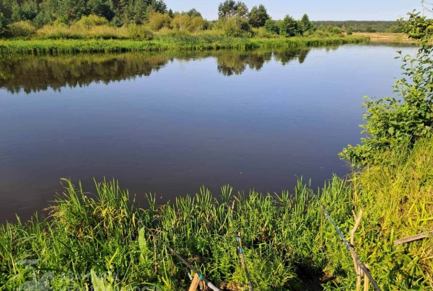 Фото Дом на хуторе вблизи р. Вилия — 1