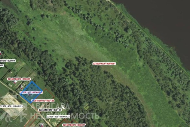 Фото Продается дом на берегу Реки «Припять» — 11