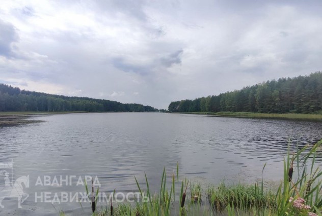 Фото Продается дача на берегу озера — 13