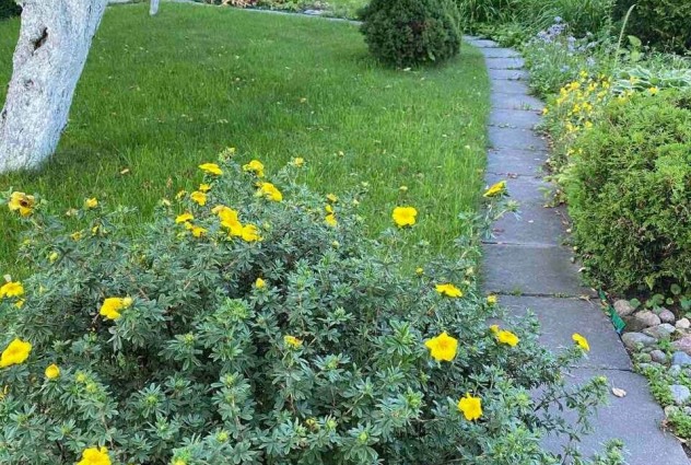 Фото Продается 2-х этажный дом в СТ «Лувр» — 55