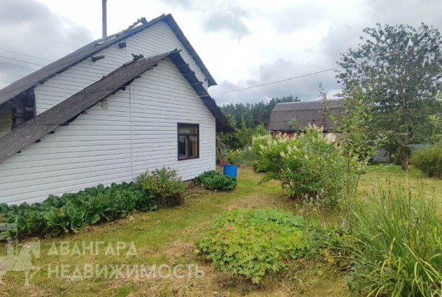 Фото Продается дача СТ Прытулак — 5
