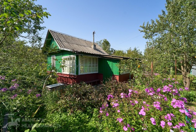 Фото Дача в ст Зорное, всего 19 км от Минска! — 5