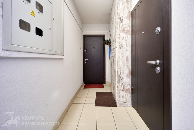 Фото Квартира с отличным ремонтом и красивыми закатами  — 37