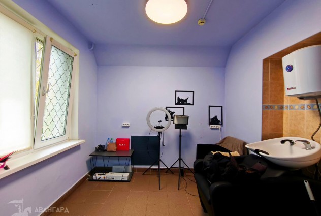 Фото Многофункциональное помещение 32,5 кв. м в г. Минске — 5