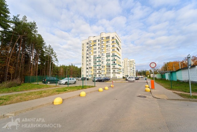 Фото Квартира с отличным ремонтом около леса   — 45