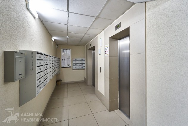 Фото Однокомнатная квартира (37,3м2). Центр, м. Аэродромная — 29