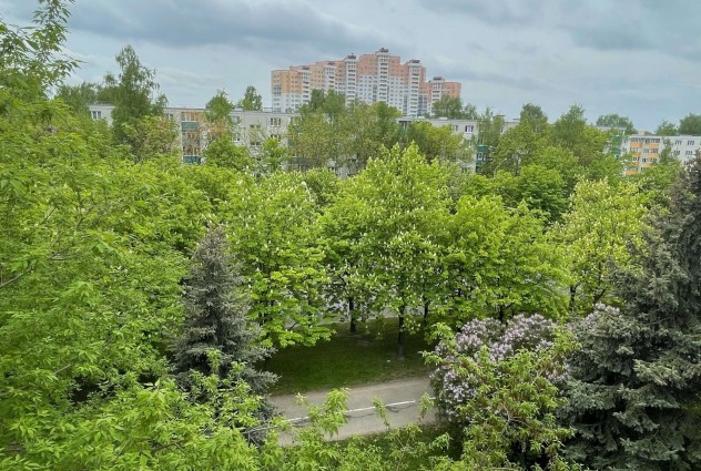 Фото 1-комн. квартира рядом со ст. метро Спортивная — 33