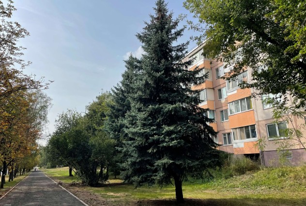 Фото 1-комн. квартира рядом со ст. метро Спортивная — 39