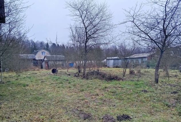 Фото Продаётся дом с участком в СТ “Дальний остров”, 46 км от Минска — 45