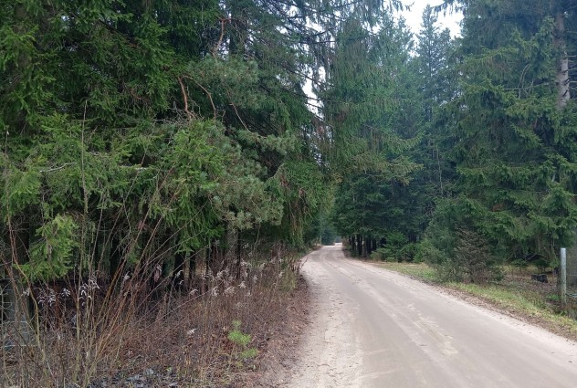 Фото Продаётся дом с участком в СТ “Дальний остров”, 46 км от Минска — 49