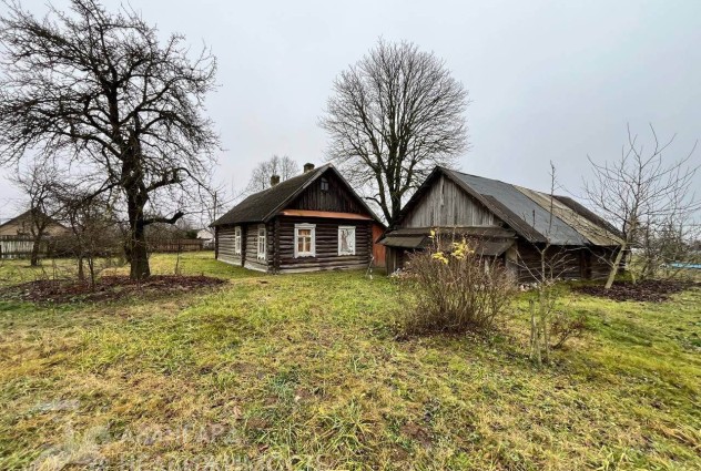 Фото Уютный дом на большом участке в д. Гребенка — 11