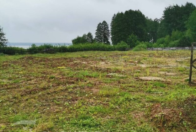 Фото Продается участок на берегу озера Свирь — 5