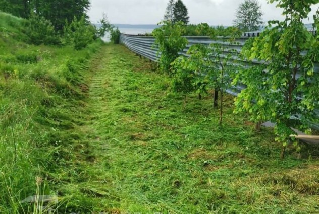 Фото Продается участок на берегу озера Свирь — 3