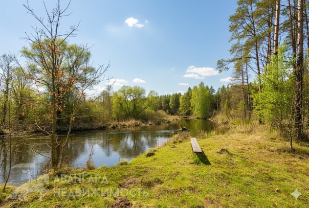 Фото Усадьба с уникальной природой у реки в Ровковичах — 55