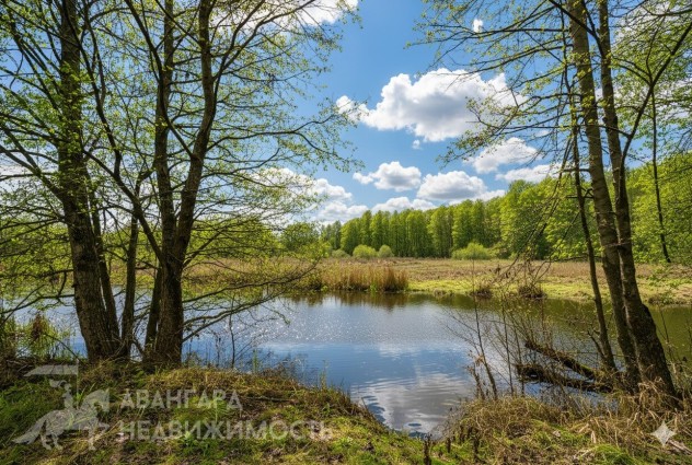 Фото Усадьба с уникальной природой у реки в Ровковичах — 57