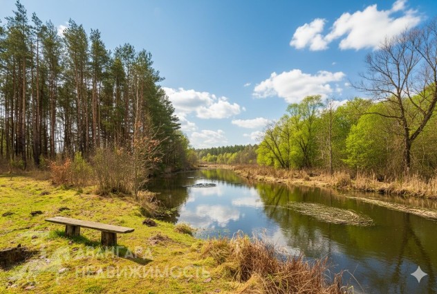 Фото Усадьба с уникальной природой у реки в Ровковичах — 59