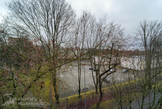 Фото 4-комнатная квартира рядом с метро «Пушкинская»! — 33