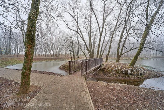 Фото 1-ком. квартира с парком во дворе — 47