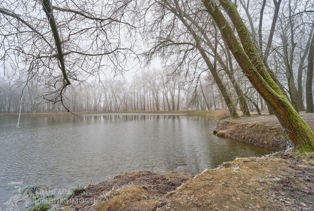 Фото 1-ком. квартира с парком во дворе — 49