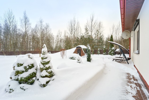 Фото Дом в окружении березовой рощи — 5