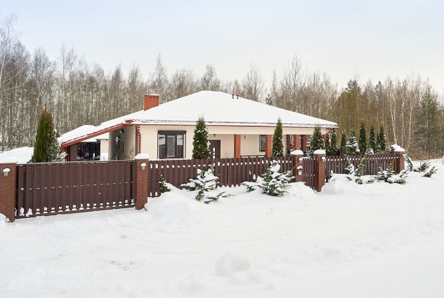 Фото Дом в окружении березовой рощи — 7