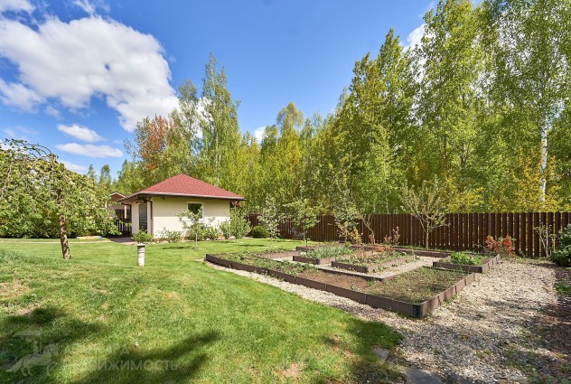 Фото Дом в окружении березовой рощи — 77