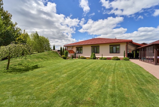 Фото Дом в окружении березовой рощи — 79