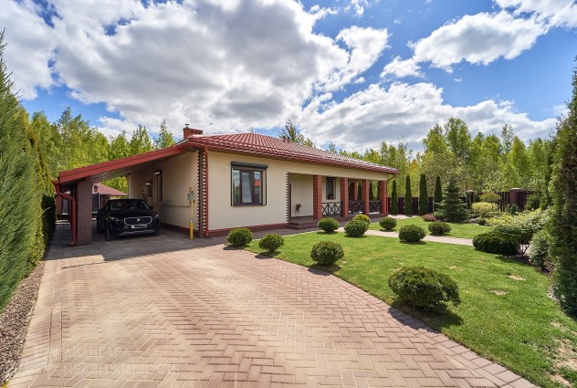 Фото Дом в окружении березовой рощи — 87