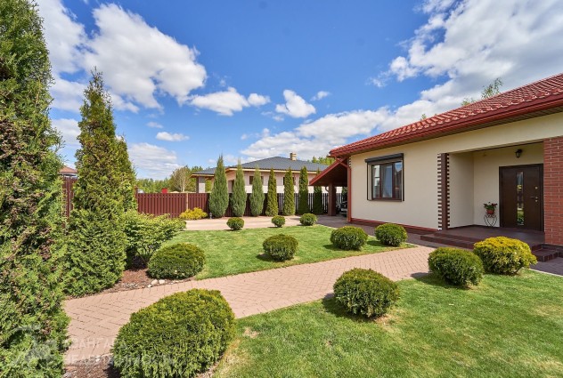 Фото Дом в окружении березовой рощи — 61