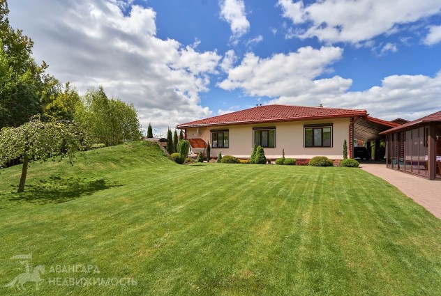 Фото Дом в окружении березовой рощи — 77