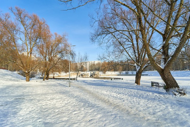 Фото 2-комнатная квартира в «Зеленом луге-2»  — 31