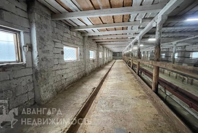 Фото Продажа производственного здания в Плещеницах — 3