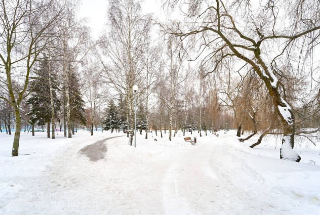 Фото Уютная квартира в красивом месте — 43