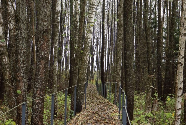 Фото Продается замечательная усадьба — 99