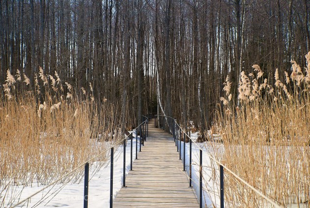 Фото Продается замечательная усадьба — 143