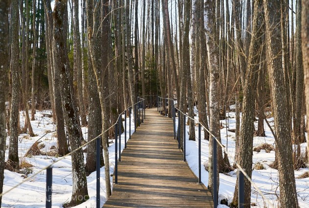 Фото Продается замечательная усадьба — 145