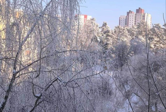 Фото 3-комнатная квартира полностью готова к проживанию — 55