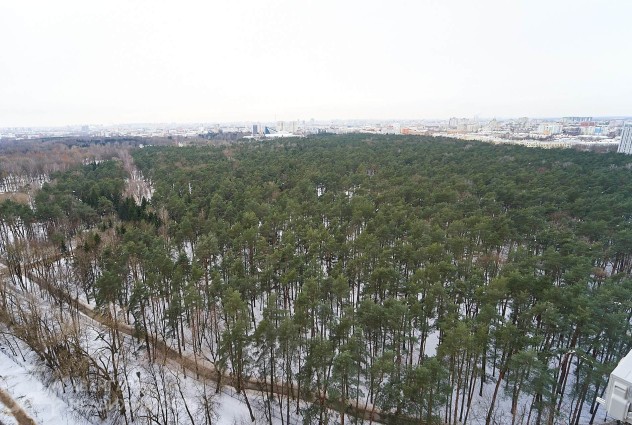 Фото Продается квартира с дизайнерским ремонтом — 91