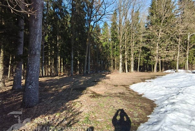 Фото Продается дом в красивейшем месте — 11