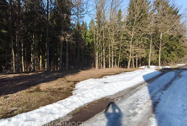 Фото Продается дом в красивейшем месте — 13