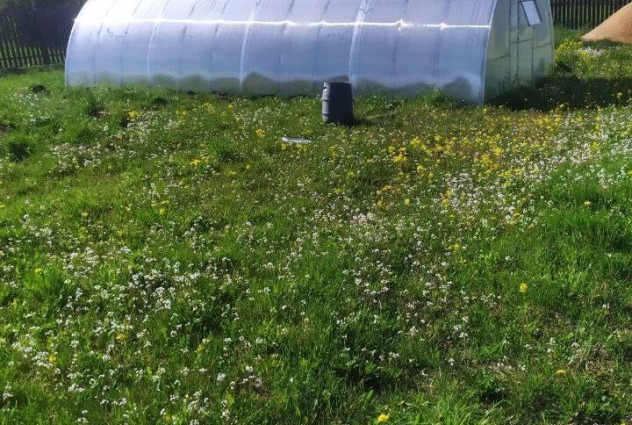 Фото Продается  участок 0.18 га  в СТ «Литвянка» Узденский район! — 3