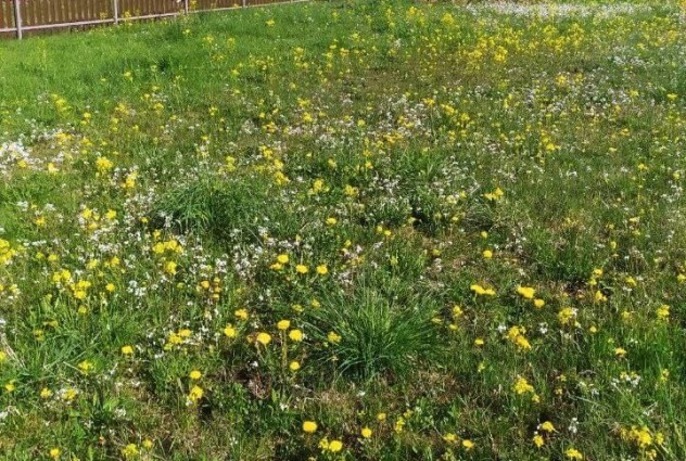 Фото Продается  участок 0.18 га  в СТ «Литвянка» Узденский район! — 9