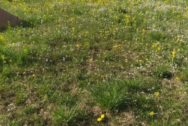 Фото Продается  участок 0.18 га  в СТ «Литвянка» Узденский район! — 11