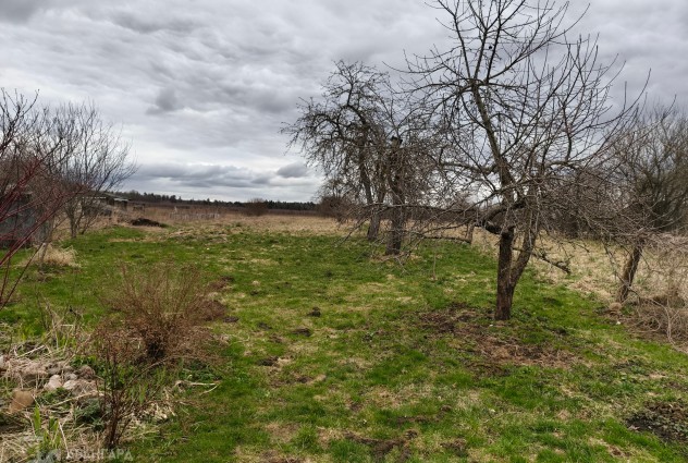 Фото Продается дом д. Пионино с большим участком — 13