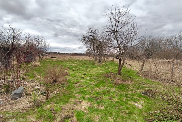 Фото Продается дом д. Пионино с большим участком — 15